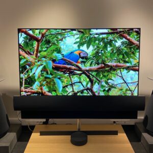 Beovision Eclipse 65 4K UHD Oled met manuele draaiende muurbeugel OF vaste stand