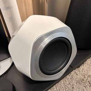 Beolab 19 Subwoofer Wit - WISA